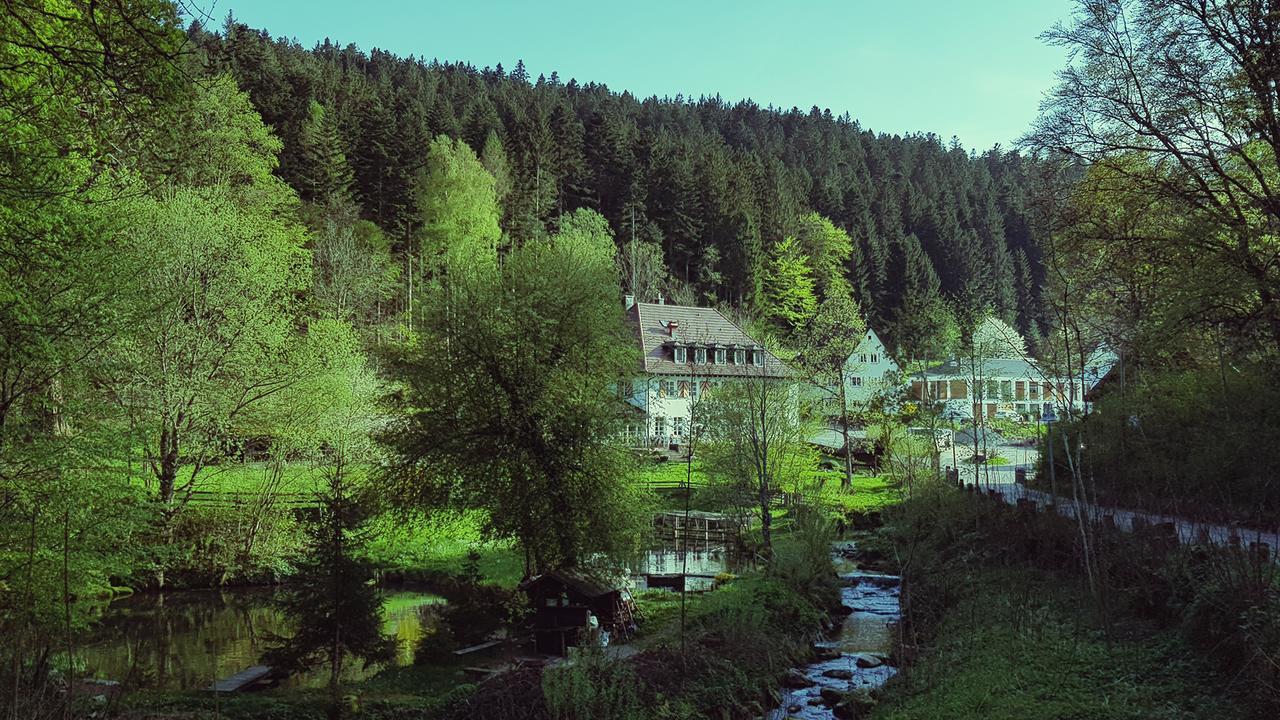 Gut Lauterbad Hotel Freudenstadt Exterior foto